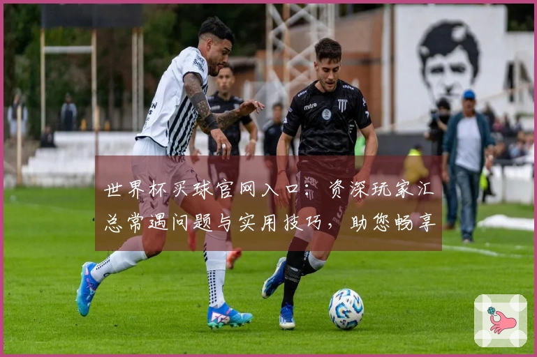 世界杯买球官网入口：资深玩家汇总常遇问题与实用技巧，助您畅享赛事精彩