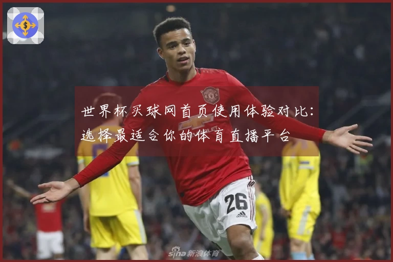 世界杯买球网首页使用体验对比：选择最适合你的体育直播平台